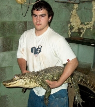 gator