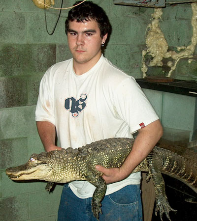 gator