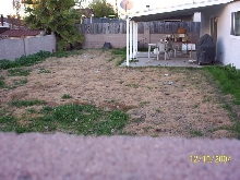 My Nextdoor neighbors backyard