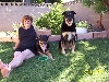 Shelley, Bingo & Lucky