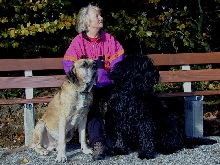 Briard and Fila Brasileiro