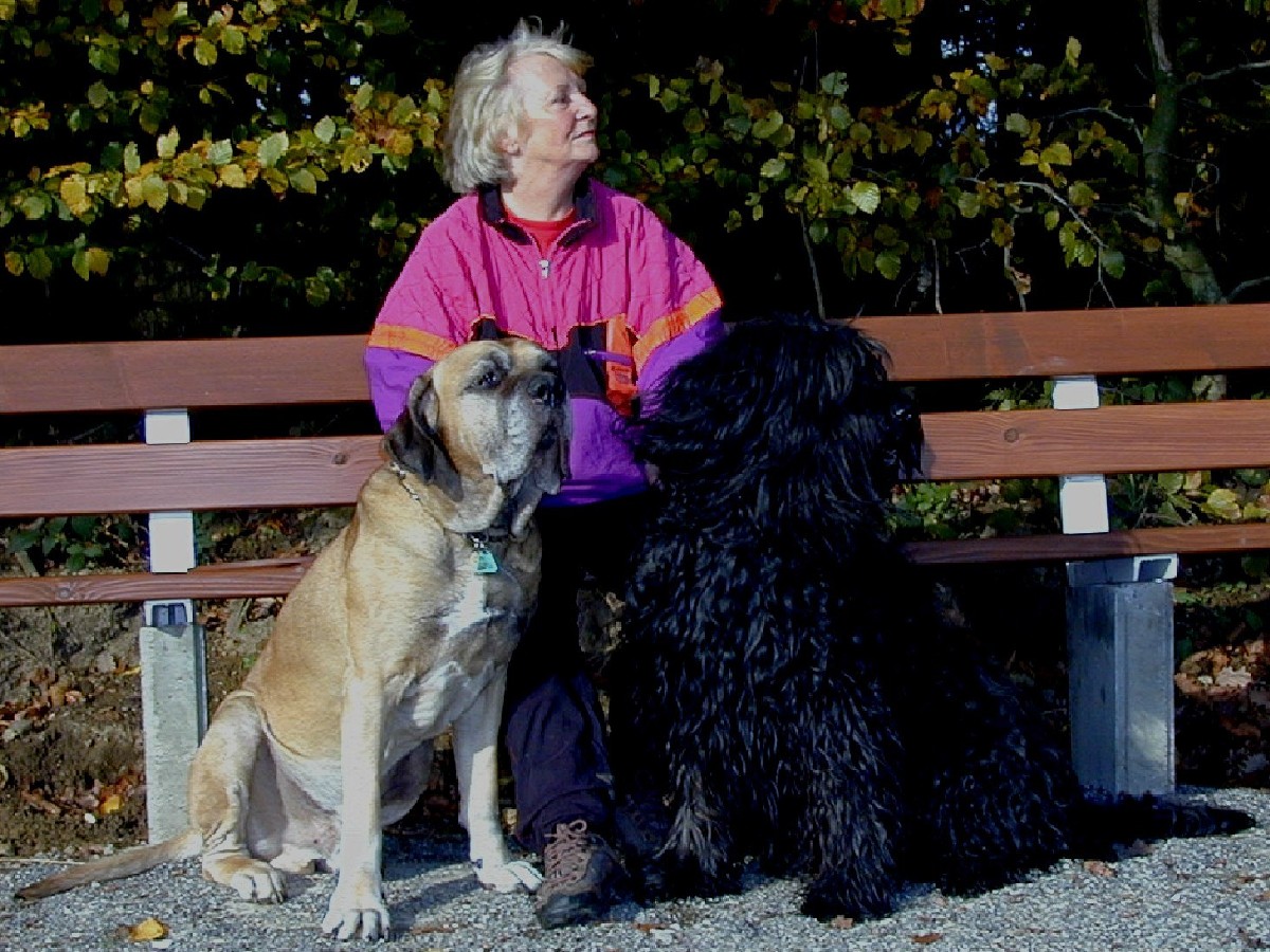Briard and Fila Brasileiro
