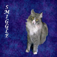 Smiggle