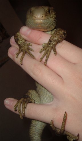 Bubba holding on for dear life