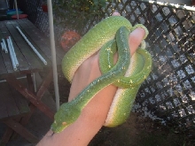 Floyd outside