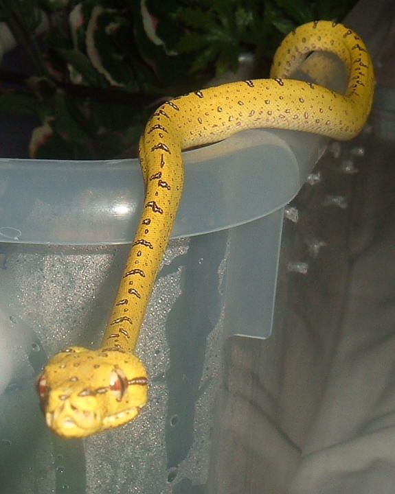 Get that camera out of my face!!!