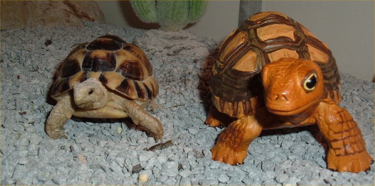 IMPOSTER!
