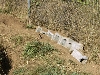 Block Digging