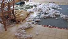 Shredded Costco Bed