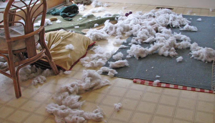Shredded Costco Bed