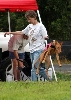 Enthusiastic Deja