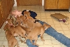 Attack!