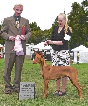 Guile's First Show