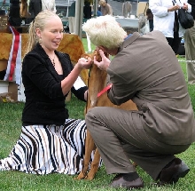Kissy Puppy Guile