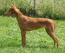 Menza stack age 3