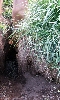 Mondo Cave