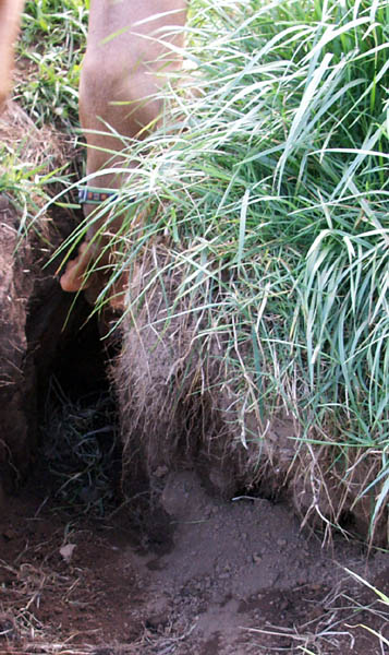 Mondo Cave