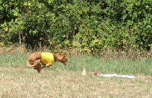 Nadia-almost got it!