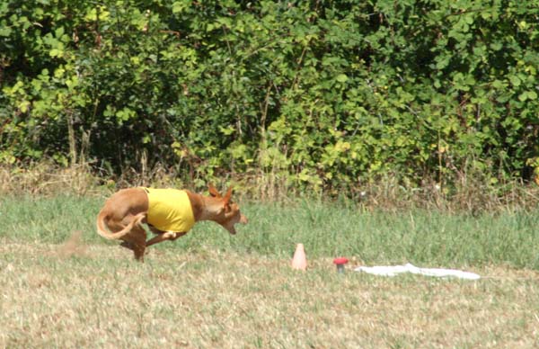 Nadia-almost got it!