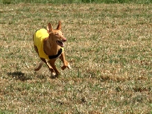 Nadia closeup coursing