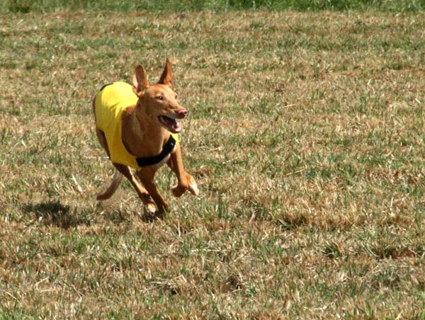 Nadia closeup coursing