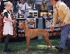 Noble 1st Lompoc 94