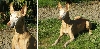 Noble Age 12 Portraits