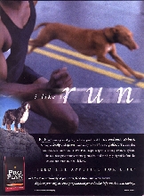 Regal Print Ad