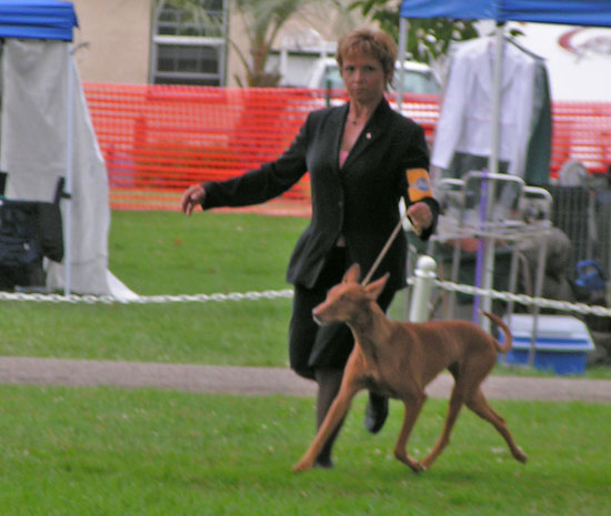 Samba at Lompoc 06