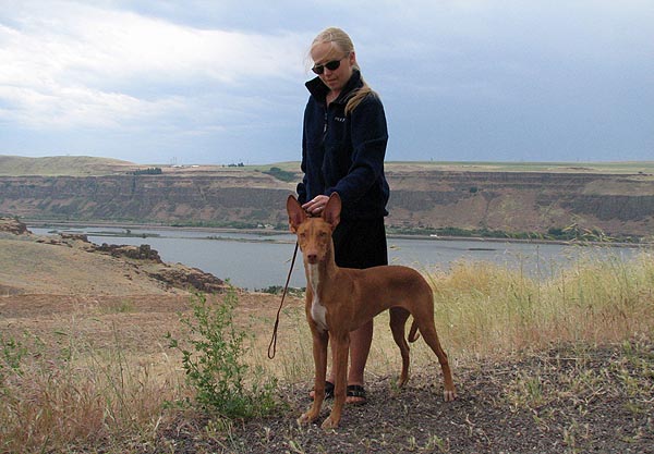 Zelda at the Gorge