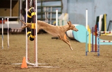 2 Nadia Hoop