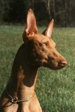 Noble