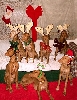 Nefer-temu Xmas PHs