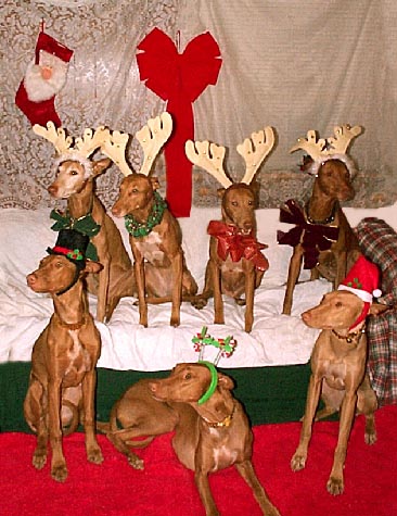 Nefer-temu Xmas PHs