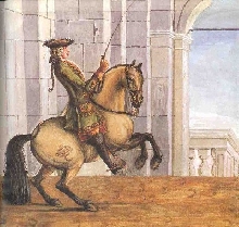 buckskin