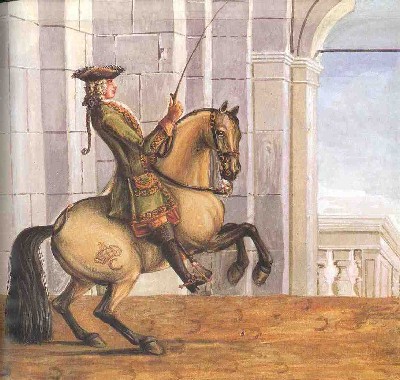 buckskin