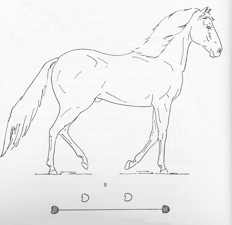paso gait 8
