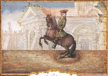 roan