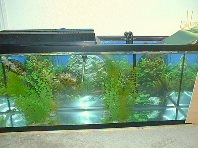 Slider Aquarium