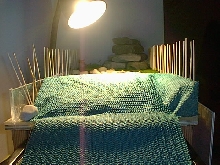 Slider view of Basking Area from Ramp