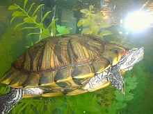 Slider Side View
