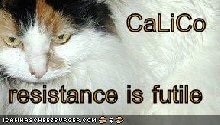 CaLiCo