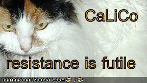 CaLiCo