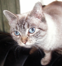 PhoebeMaeFoster