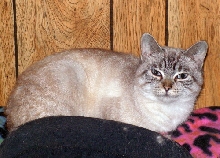 PhoebeMaeFoster