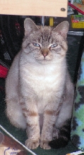 PhoebeMaeFoster