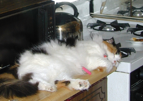 Home On the Range (CaLiCo version)