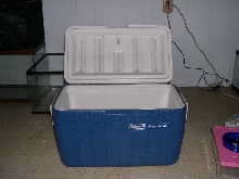 potential incubator2