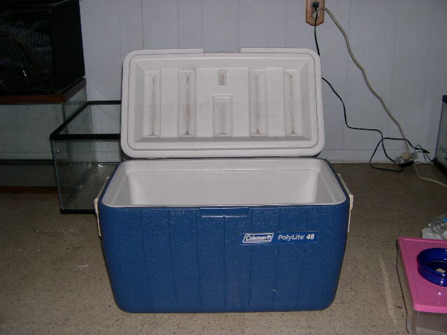 potential incubator2
