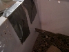 mouse water